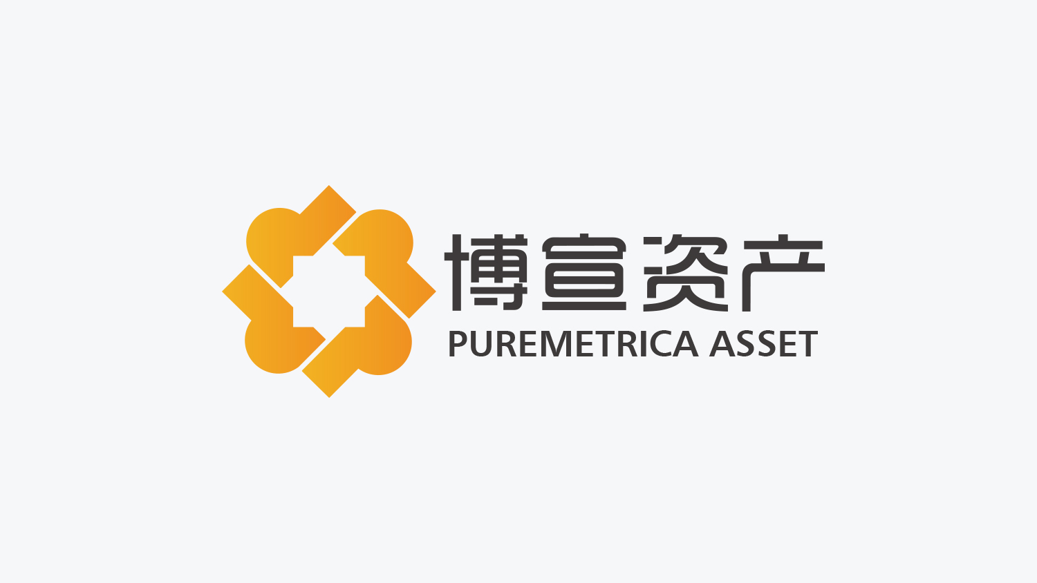 博宣投資管理公司logo設(shè)計(jì)提案