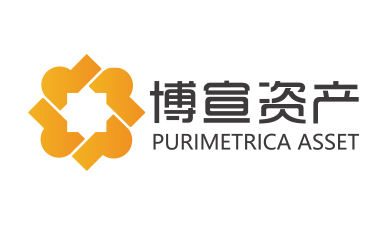 博宣投資管理公司logo設(shè)計(jì)提案