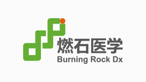 燃石醫(yī)學(xué)品牌vi形象設(shè)計