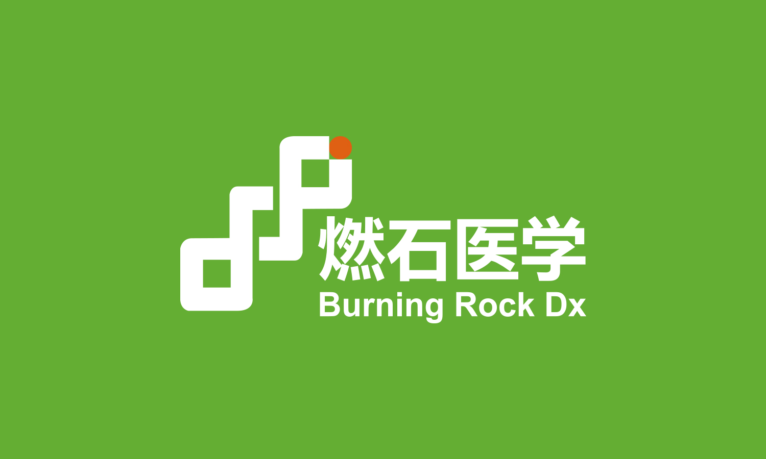燃石醫(yī)學醫(yī)療品牌形象vi設計